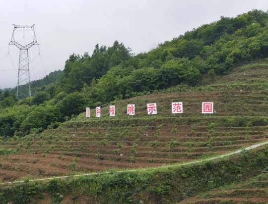 1592968598005071276.png 332af11ef4936c0757b6841fd93305f.png