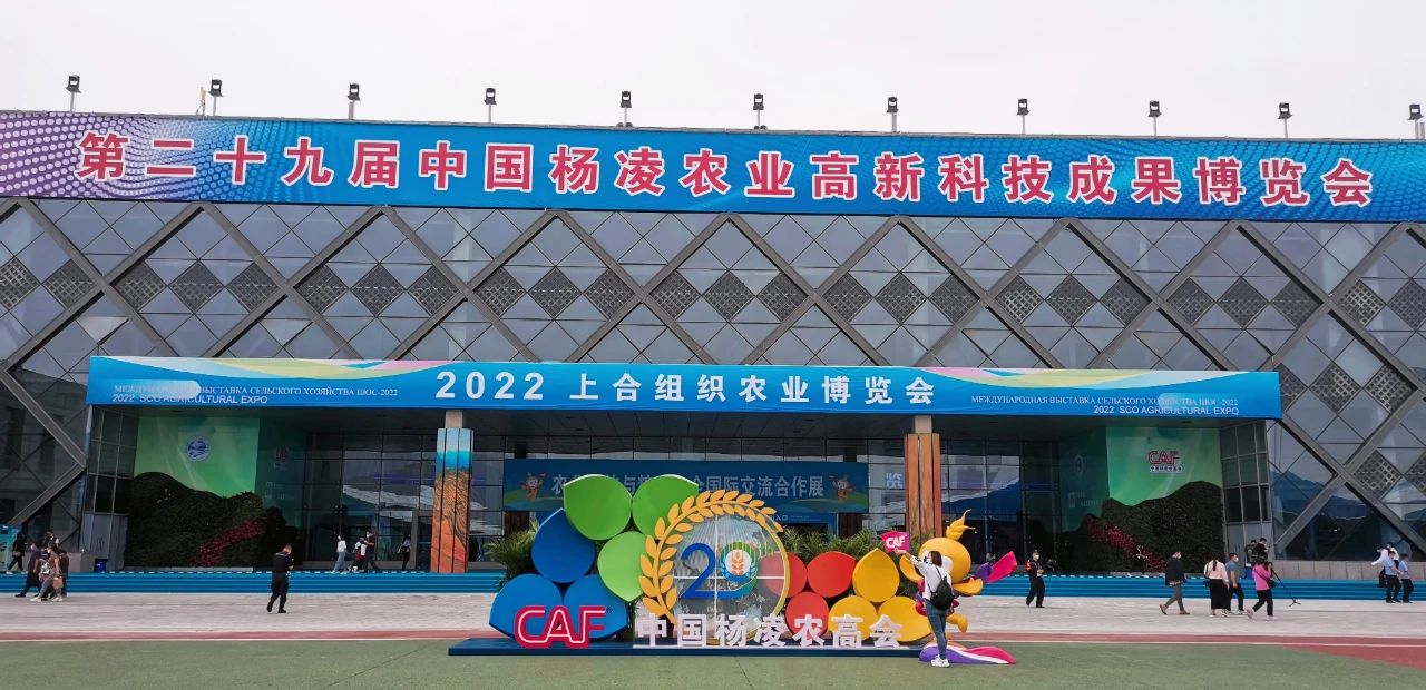 1693360430596019481.jpg 1693360430596019481.jpg