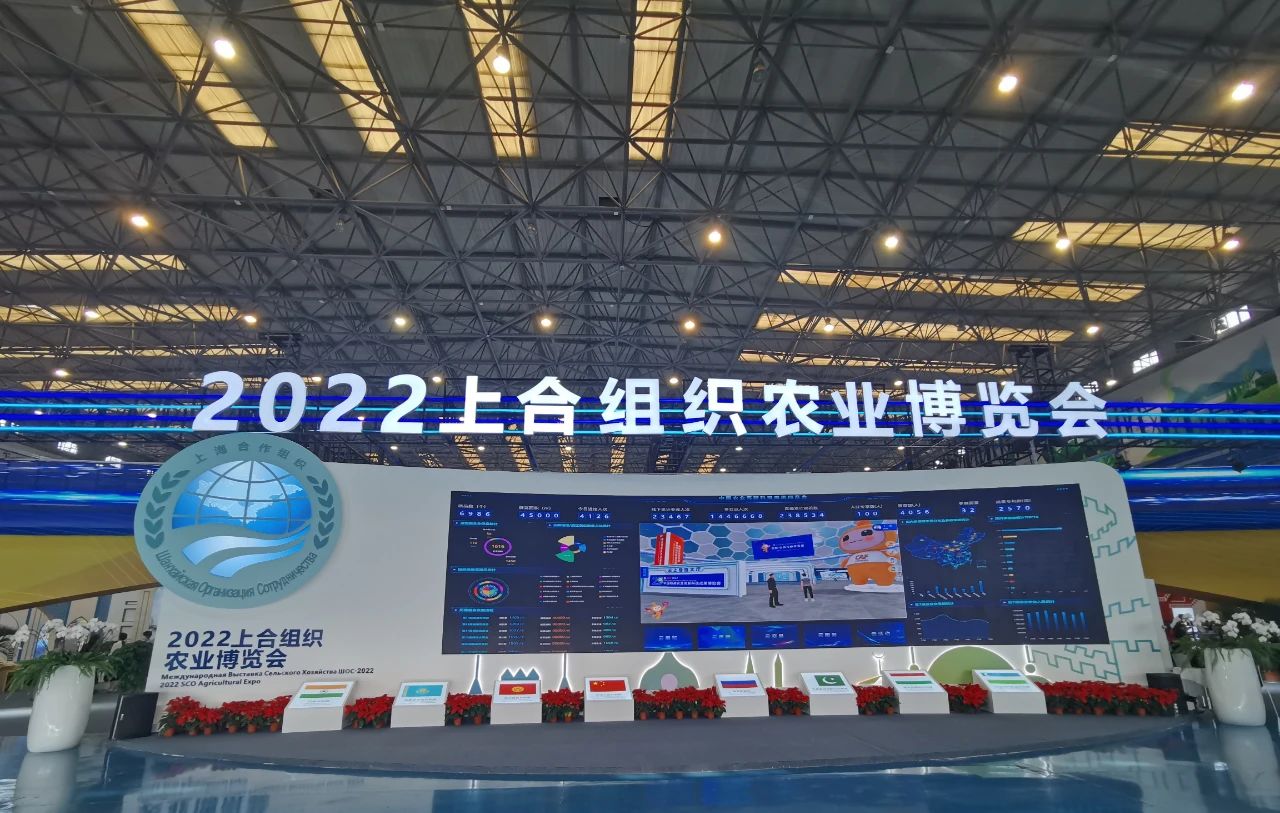 1693360889486077788.jpg 1693360889486077788.jpg