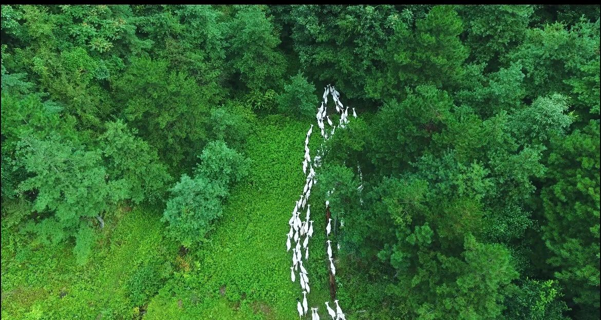 1693365447314009018.jpg af27d9621fa0aee9a3d9393b11720bef.jpg